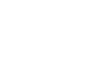 Sebrae